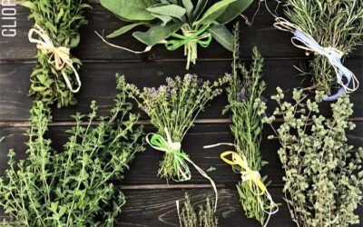 Valorizzare, scoprire e riscoprire il mondo delle erbe aromatiche e officinali